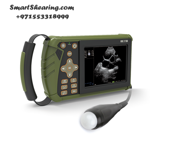 Ultrasound :: Xpert Ultrasound for Sheep and Goats - Pregnancy